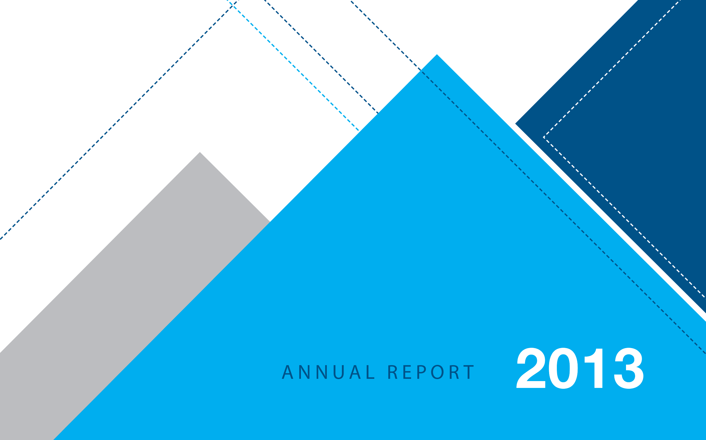 Annual Report 2013