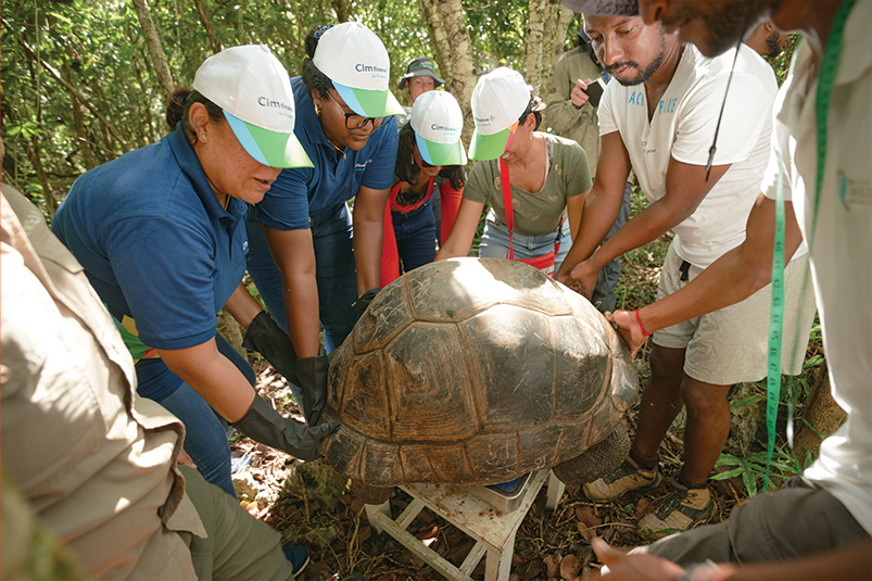 Cim Finance se mobilise autour des tortues géantes d’Aldabra de l’Île aux Aigrettes